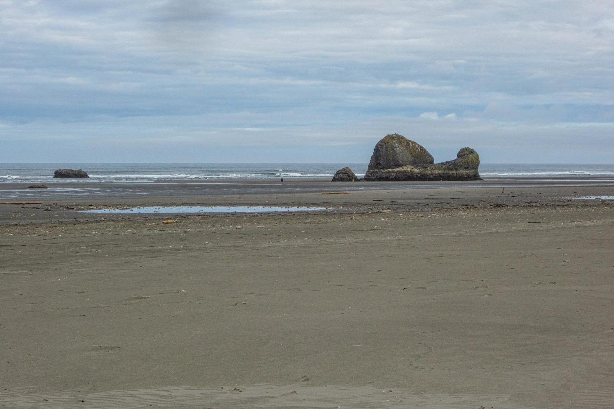 Rocks Cabin Copalis Beach Extérieur photo